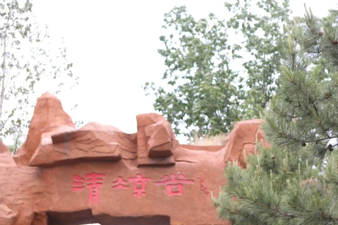 立足當(dāng)“夏”,覓清涼 | 社科賽斯考研“清涼谷”團(tuán)建之旅!
